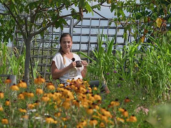 7 bodů zahradního štěstí