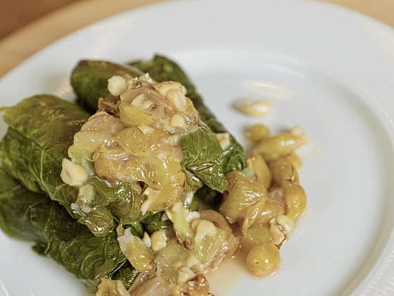 Vinobraní beze ztrát