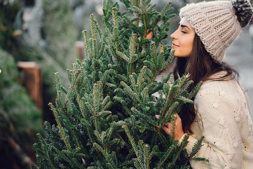 Mezi vánoční tradice patří i zdobení stromečku