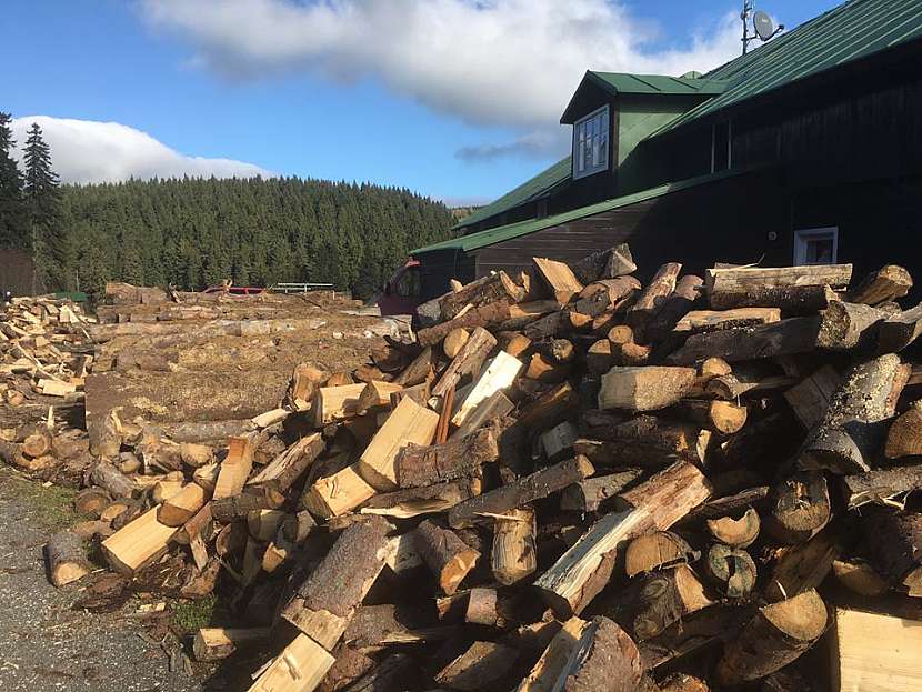 Nastal čas příprav dřeva na zimu (Zdroj: Pavlína Wagnerová Málková)