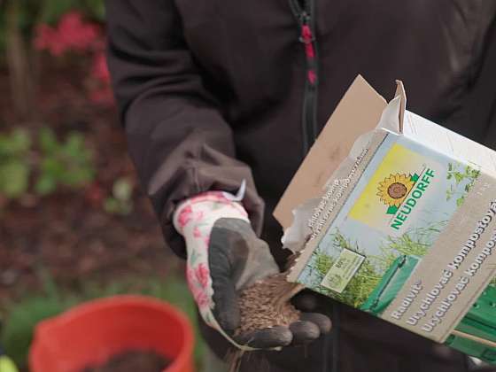 Co se zahradním odpadem