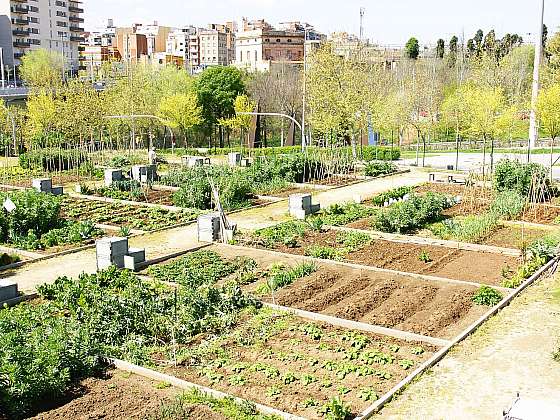 Městská zahrada není městský park