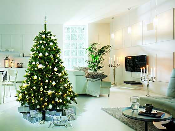 otevřít: BAUHAUS rádce - vánoční stromky