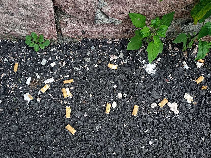 Nedopalky cigaret ohrožují životní prostředí