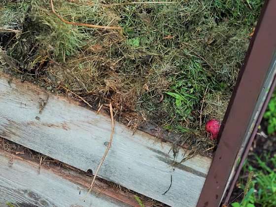 Co se zahradním odpadem