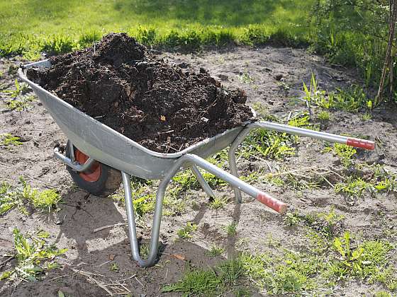 Čím přikrmit rostliny, aby skutečně dobře prospívaly? Použijte organická hnojiva