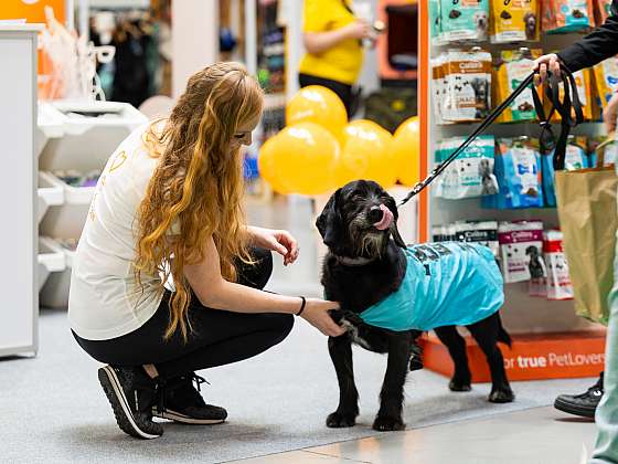 FOR PETS 2026 v Praze: Alpaky, hadi a svět chovatelství