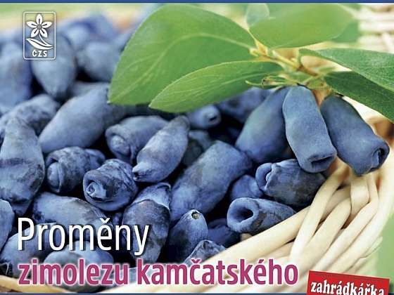 Říjnový časopis Zahrádkář na stáncích 