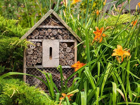 Hmyzí hotel – úkryt pro užitečný hmyz může být doma vyrobený i designový