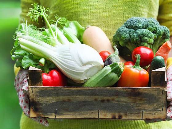 Recepty na podporu imunity ze sezonní zeleniny a ovoce ze zahrady