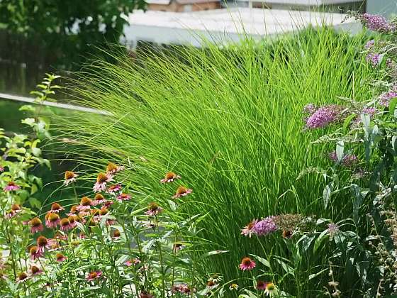 Okrasná zahrada: Chyby při plánování