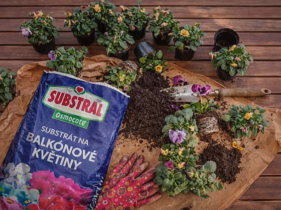 Soutěž z Receptáře: Vyhrajte 4 balení Substral Substrátu s hnojivem Osmocote