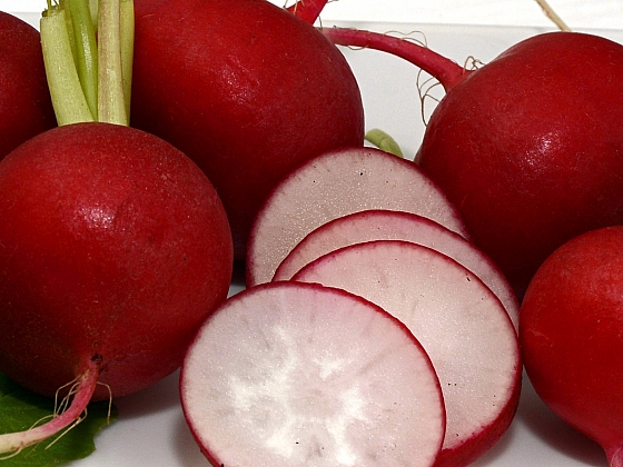 Když teď zasejeme ředkvičky, za pár týdnů sklidíme nálož vitaminů