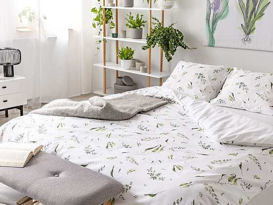 Víte, jaké rostliny si dát do ložnice, abyste spali jako dudci?
