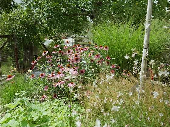 Okrasná část přírodní zahrady