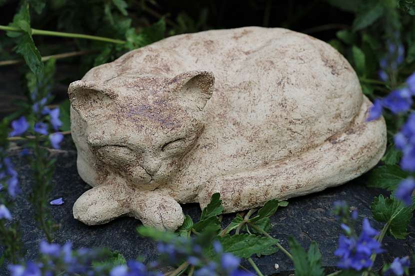 Kočka dekorovaná oxidem burelu, který nechává vyniknout šamotové hlíně.