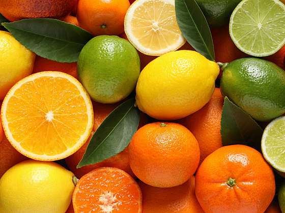Zimní péče o citrusy – poradíme, jak na to