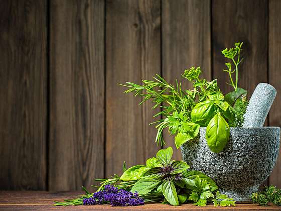 Vypěstujte si doma bylinky do salátů a dalších pokrmů