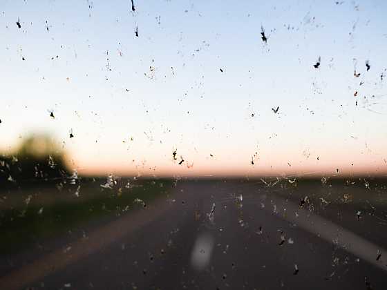 otevřít: Jak snadno odstranit hmyz ze skel auta