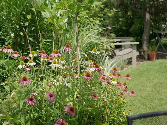 Bezúdržbová okrasná zahrada 