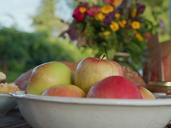 Jablka sušená mrazem
