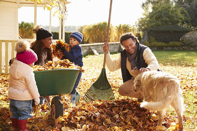 Spadané listí nemusí skončit na kompostu, využijte jej pro zakrytí záhonů (Zdroj: Depositphotos)