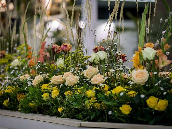 Letní Flora Olomouc bude za přísných hygienických opatření jedinou květinovou výstavou v ČR