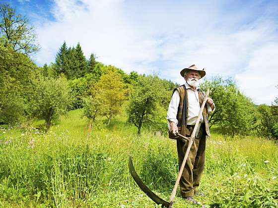 Trávu na seno už nesekáme kosou. Nejlépe ji se zpracuje bubnová sekačka