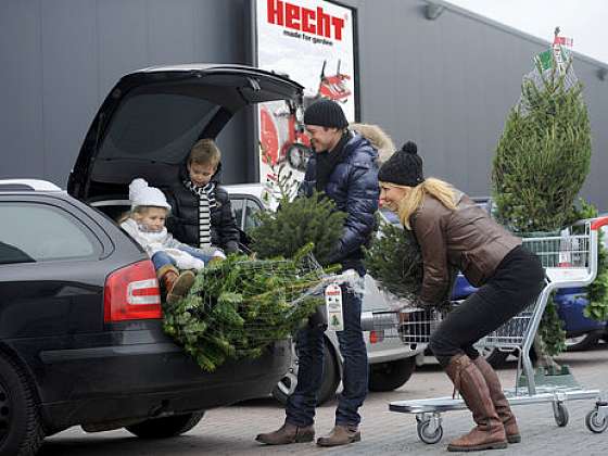 Prodej vánočních stromků od Hechtu