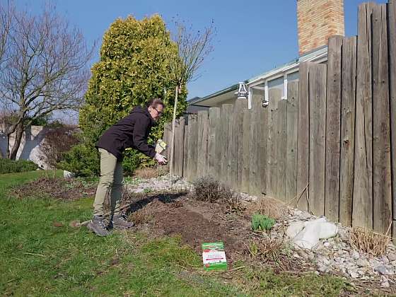 Příprava záhonů před výsadbou