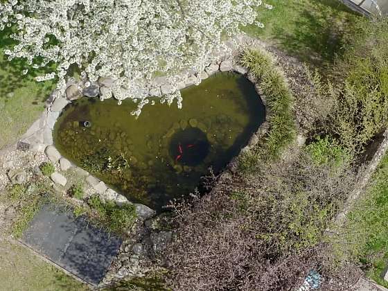 Úprava vody v jezírku