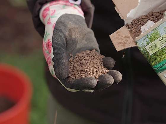 Co se zahradním odpadem
