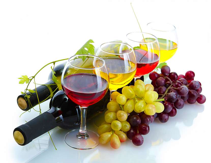 Ochutnávání vína si užije i úplný začátečník
