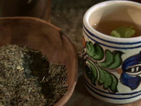 Jakou rostlinou si můžete osladit čaj bez přidaného umělého cukru? 