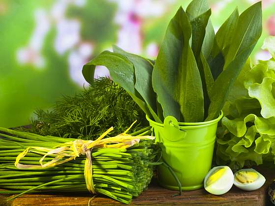otevřít: Jarní bylinky na zahradě využijte v kuchyni i domácí lékárně
