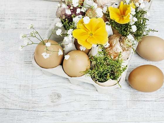 Květinářka radí, jak vyrobit úžasnou velikonoční dekoraci z obyčejného plata od vajec