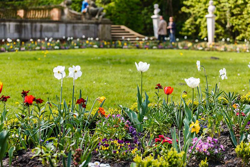Vdechněte na jaře život vaší zahradě (Zdroj: Depositphotos)