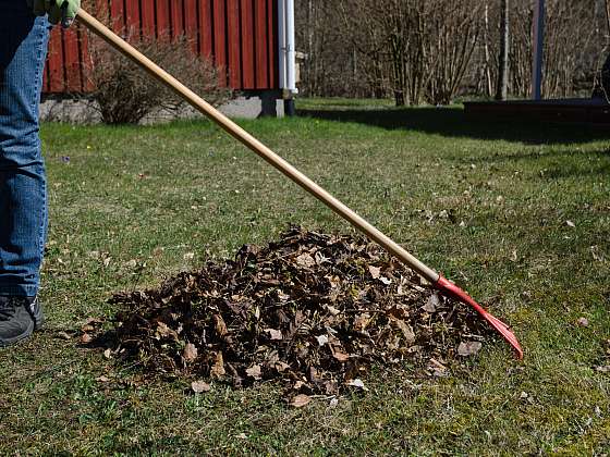 Únor není pro pěstitele dobou odpočinku, je nejvyšší čas na přípravu zahrady