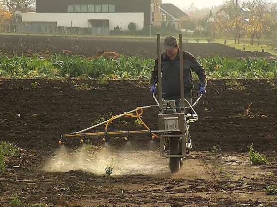 Hnojení pesticidy