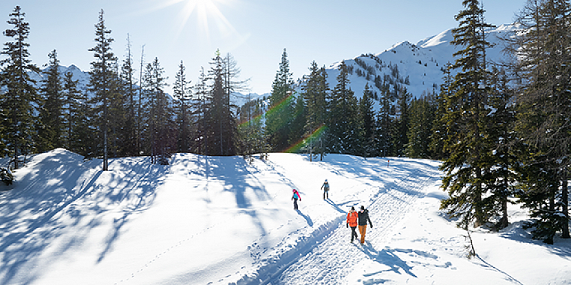 Raurisertal_Winterwanderweg Hochalm