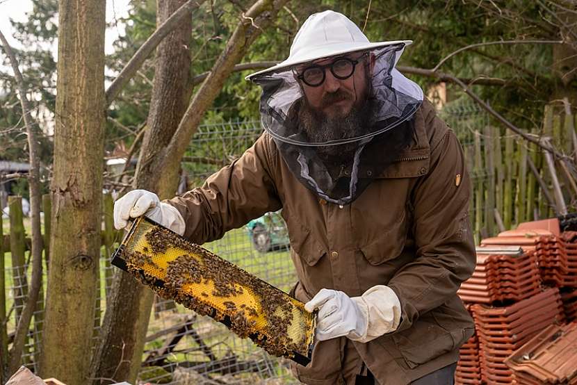 Jakou péči potřebují včely?