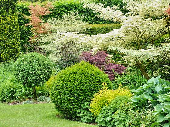 Víte, co je potřeba, aby vaše zahrada i za 20 let vypadala skvěle?