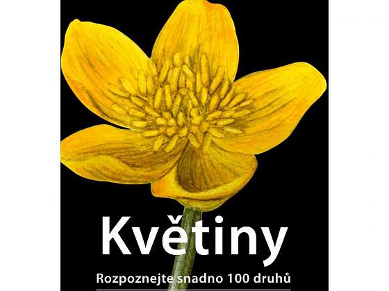 Felix Weiβ: Květiny - Rozpoznejte snadno 100 druhů