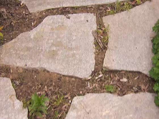 Čím a jak osázet zahradní chodníčky z nášlapných kamenů