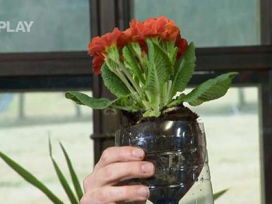 Jak si vyrobit samozavlažovací květináč