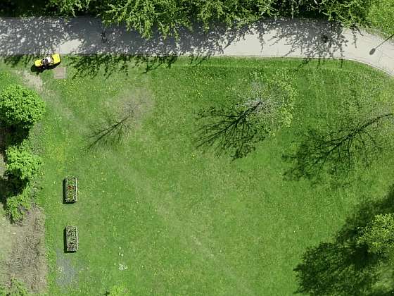 Trávník před zimou