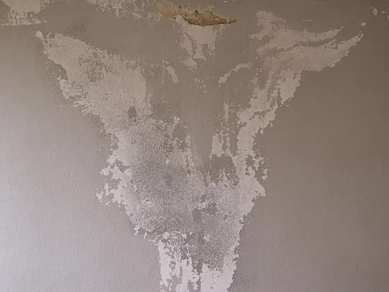 Plíseň v interiéru