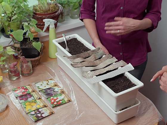 Březnová příprava balkonu na pěstování