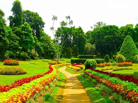 Chelsea Garden a květinové výstavy – cestujte za krásou