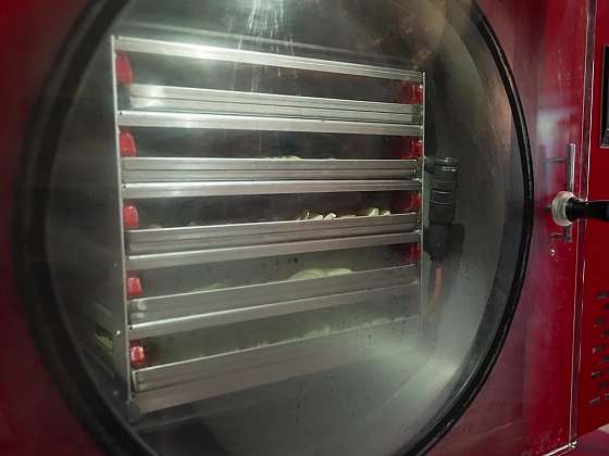 Jablka sušená mrazem